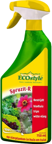 Spruzit R Insektizid Einsatz 750 Ml