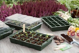 Komplettes Set zur Pflanzenanzucht - Nature
