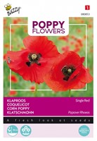 Klatschmohn Rot - Buzzy Poppy Flowers
