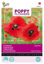 Klatschmohn Rot - Buzzy Poppy Flowers