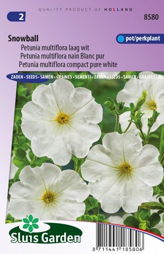 Petunia Multiflora Snowball Petunie
