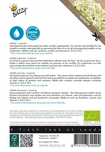Alfalfa Sprossen / Luzerne BIO - Buzzy Organic Sprouting-2