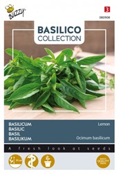 Citroenbasilicum - Basilico Collection