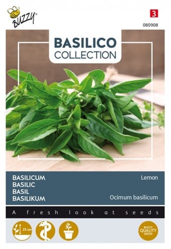 Zitronenbasilikum - Basilico Collection