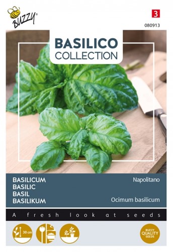 Basilikum Napolitano - Basilico Collection
