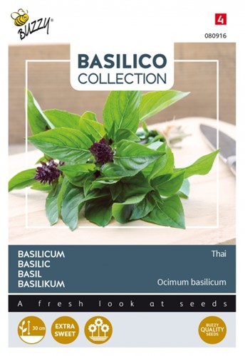 Basilikum Siam oder Thai - Basilico Collection