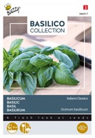 Basilikum Italiano Classico - Basilico Collection
