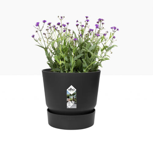 Greenville Round 30 cm Zwart - Elho-2