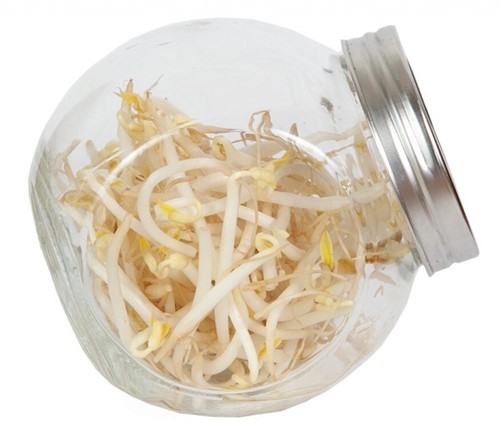 Organic Sprouting glazenpot Tauge BIO - Buzzy-2