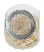 Organic Sprouting glazenpot Tauge BIO - Buzzy-3