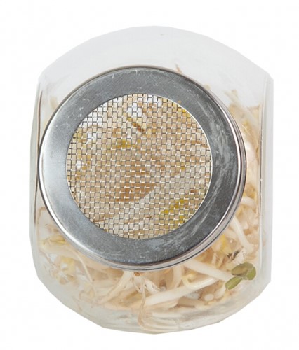 Organic Sprouting glazenpot Tauge BIO - Buzzy-3