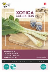 Aspergesla of Stengsla - Xotica Collection