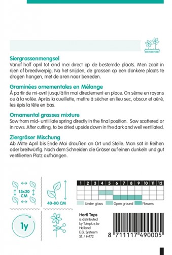 Ziergraeser, Einjaehrige Mischung - Hortitops-2