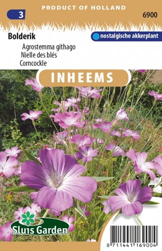 Kornrade Agrostemma Githago
