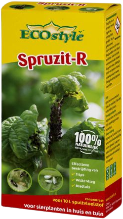 Spruzit R Insektizid Konzentrat 100 Ml