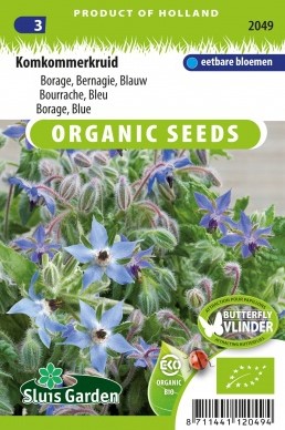 Borretsch blau EKO - Borago officinalis