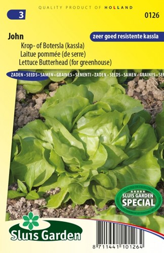 Kopf Oder Buttersalat Treibsalat John