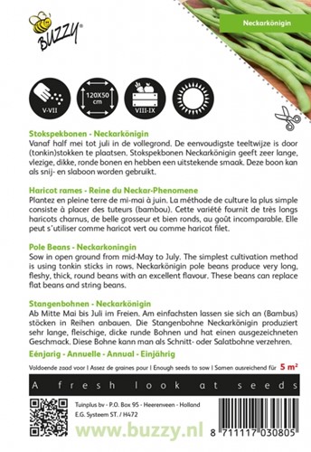 Stangenbohnen Neckarkönigin - Buzzy-2