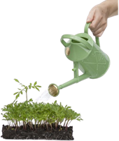 1L Gieter Saliegroen - Haws-2
