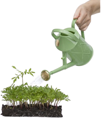1L Gieter Saliegroen - Haws-2