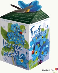 Vergissmeinnicht Ecogeschenke Greengift