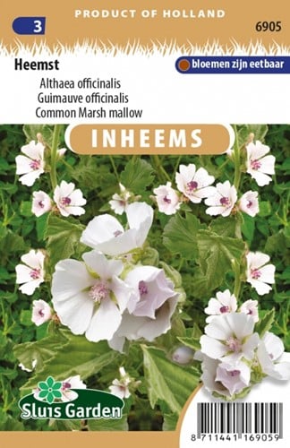 Echte Eibisch Althaea Officinalis