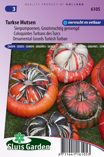 Zierkürbis türkische Mütze Große Früchte