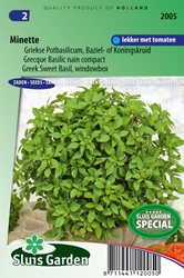 Basilienkraut Minette - Ocimum Basilikum