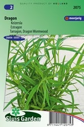 Estragon, Russischer - Artemisia dracunculus