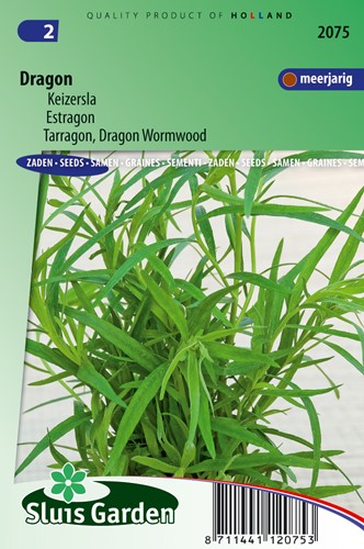 Estragon, Russischer - Artemisia dracunculus
