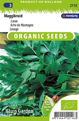 Liebstöckel, Maggikraut EKO - Levisticum Officinalis