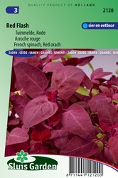 Melde Red Flash - Atriplex hirtensis