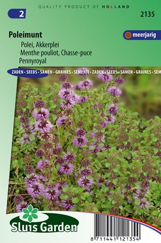 Poleiminze Mentha pulegium
