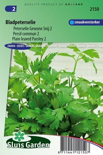 Petersilie GewohnSchnitt 2