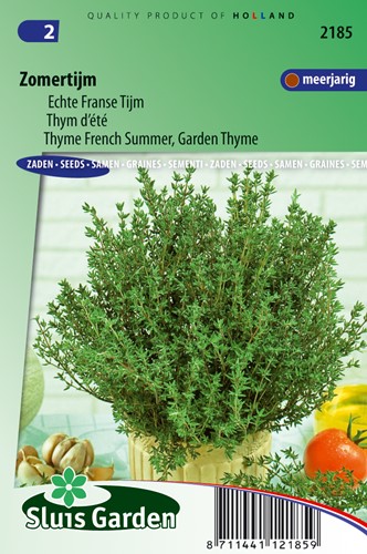 Thymian Sommer - Thymus vulgaris