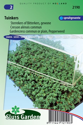Gartenkresse