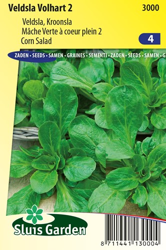 Feldsalat Volhart 2 - Valerianella locusta