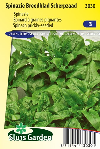 Spinat Breitblatt scharfsaat