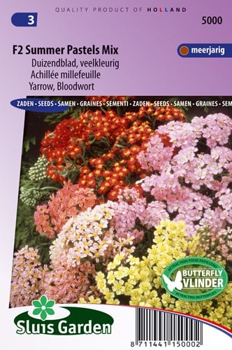 Tauzendblatt Summer Pastels F2 Mix (Achillea)