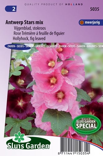 Stockrose Antwerp Stars einzelblumige mischung - Alcea ficifolia
