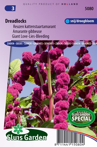 Blutweiderich Dreadlocks - Amaranthus