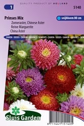 Aster Prinzessen Mischung (Sommeraster)
