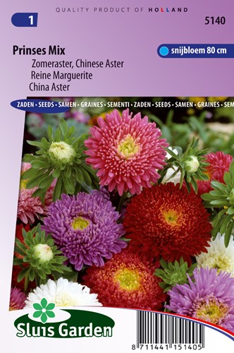 Aster Prinzessen Mischung (Sommeraster)