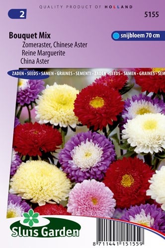 Aster Strauß Bouquet Mix - Sommeraster