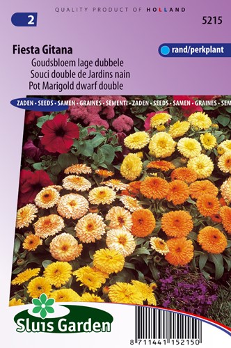 Ringelblume Fiesta Gitana gemischt - Calendula