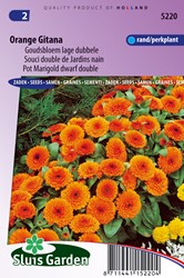 Ringelblume Orange Gitana - Calendula