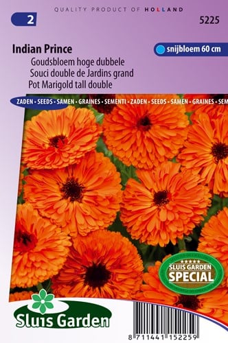 Ringelblume Indian Prince, doppelblumig - Calendula