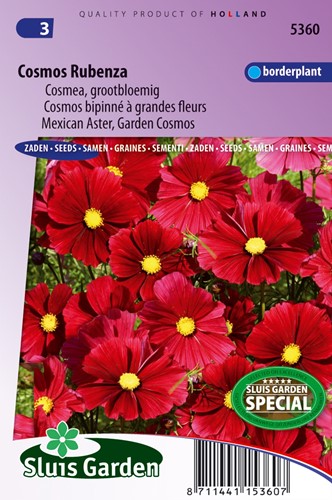 Cosmos Rubenza Fleuroselect Novelty (Aster)