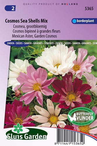 Cosmos Sea Shells Mixed (Aster)