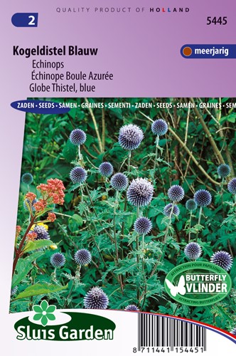 Kugeldisteln blau - Echinops ritro
